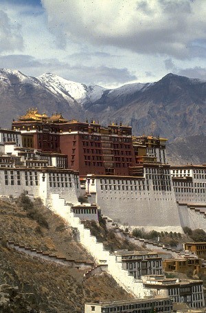 4 Kota Ini Lebih Tinggi dari Puncak Semeru