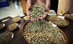 Produksi dan Ekspor Kopi Nasional Mulai Meningkat