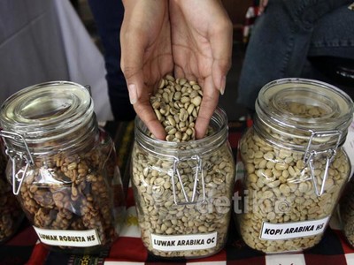 Produksi dan Ekspor Kopi Nasional Mulai Meningkat