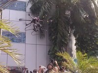 Alat Canggih Buatan Dalam Negeri, dari Pesawat Tanpa Awak Hingga Satelit