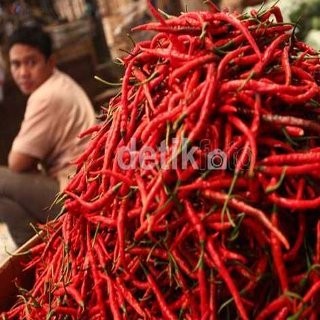 RI Langganan Impor Cabai dari Vietnam dan China