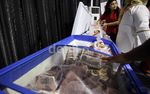 RNI Jual Daging Rp 70.000/kg