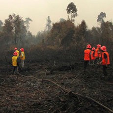 Padamkan Kebakaran Hutan Sumatera, Malaysia Siap Kirim 1.200 Petugas