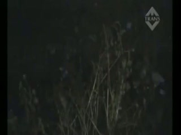 Tolak Diajak Main Bola, Bocah Gorok Leher Temannya