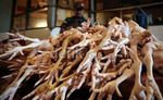 Uji Kelayakan Pangan Jelang Ramadan