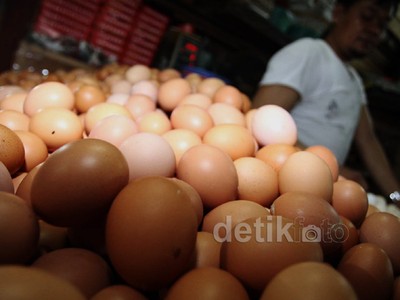 Harga Telur Ayam Merangkak Naik