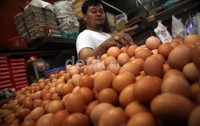 Harga telur hingga saat ini sudah tembus Rp 21.000 dari sebelumnya Rp 16-18 ribu/Kg.