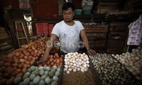 Seorang pedagang merapihkan barang dagangannya di Pasar Tebet, Jaksel, Kamis (27/6). Selain telur ayam, telur bebek dan telur buyung puyuh juga ikut naik.