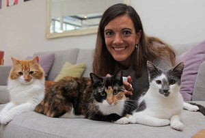 Redakan Stres, Kafe di Inggris Ini Tawarkan Kucing untuk Dielus
