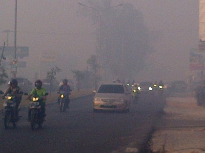 Polisi Belum Temukan Keterlibatan Perusahaan dalam Kebakaran Lahan di Riau