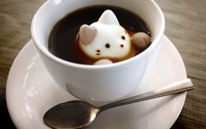 Latte Art Kucing Lucu Ini Terbuat dari Marshmallow!