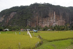 Sentuhan Tuhan Dalam Keindahan Lembah Harau