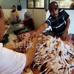 Harga Ayam Melonjak Jadi Rp 45.000/Ekor, Ini Penyebabnya