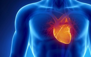 Cegah Stroke dan Penyakit Jantung dengan Makanan Pembersih Arteri Ini