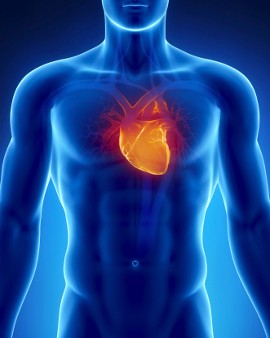 Cegah Stroke dan Penyakit Jantung dengan Makanan Pembersih Arteri Ini