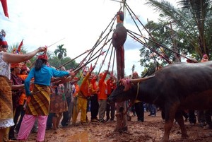 Tak Hanya Bali, Kalimantan Juga Punya Tradisi Bakar Mayat