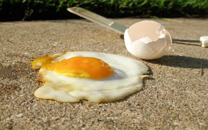 Telur Goreng Berserakan di Taman Nasional Akibat Eksperimen Pengunjung