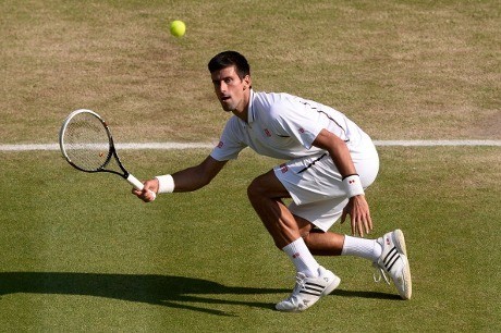  Kalahkan Del Potro, Djokovic Melangkah ke Final