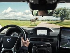 Volvo Terus Kembangkan Teknologi Pendeteksi Hewan Liar