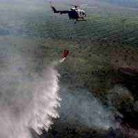 Kebakaran Hutan di Riau Tinggal 15 Titik Api