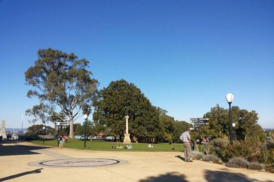 Taman Para Raja dan Pohon 750 Tahun di Perth