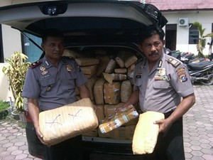 500-an Kg Ganja Kering Diamankan Polisi di Deli Serdang