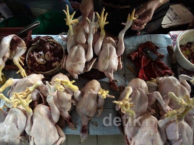 Harga Ayam Potong Menggila di Awal Ramadan