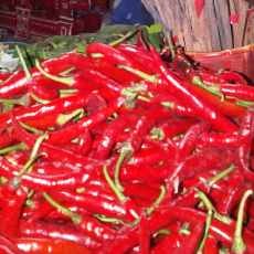 Awal Ramadan Harga Cabai Rp 100 Ribu/Kg