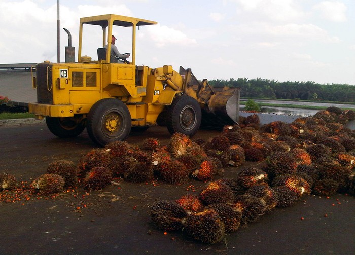 Telat Lapor Kinerja Keuangan, Kebun Sawit Bakrie Rugi Rp 1 Triliun