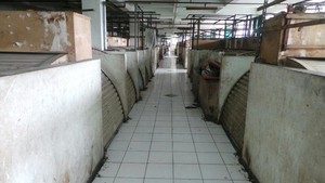Mengintip Calon Lokasi PKL Liar di Blok G Pasar Tanah Abang