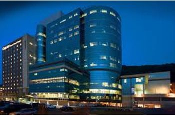 Inilah 7 Rumah Sakit Paling Cantik Sedunia