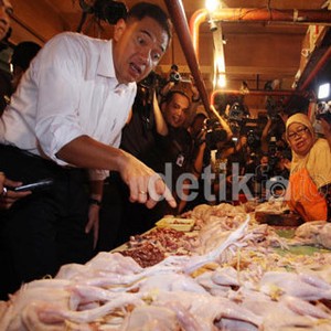 Harga Ayam Rp 45 Ribu/Ekor, Gita Wirjawan: Ini Akibat Mahalnya Daging Sapi