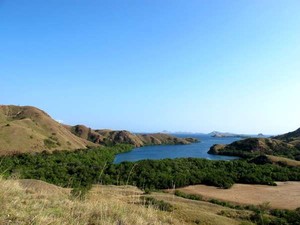 Ide Liburan di Pulau Komodo ala Gwyneth Paltrow