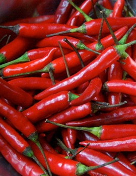 Cabai Mahal? Siasati Konsumsinya dengan Cara Ini!