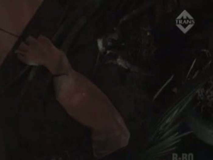 Sadis! Anak Mutilasi Ibu