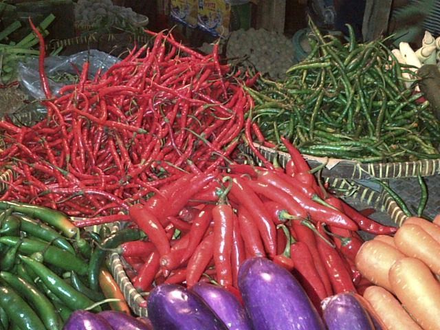 Pedasnya Harga Cabai Tak Dinikmati Ning dan Sukiyem, Ini Kisahnya