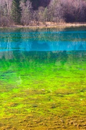Cantik! 7 Keajaiban Alam yang Warna-warni