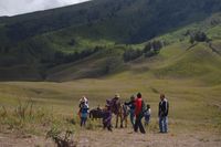 Bukit Teletubbies Gunung Bromo