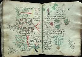 Al-Dinawari, Bapak Botani Islam