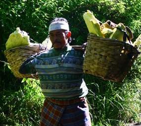 Kehidupan Keras Penambang Belerang di Kaki Gunung Ijen