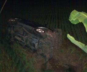 Mobil Rombongan Satu Keluarga Terguling di Sawah, 6 Luka