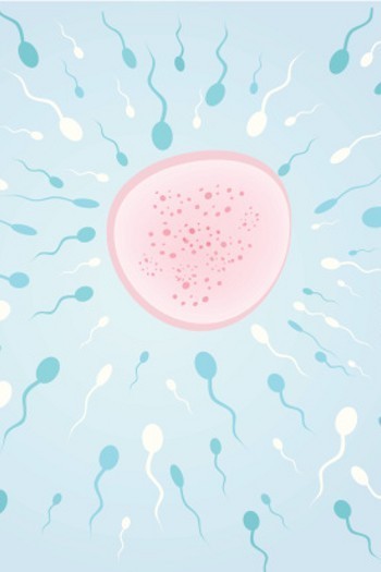 Selain untuk Bikin Anak, Ini Manfaat Lain dari Sperma