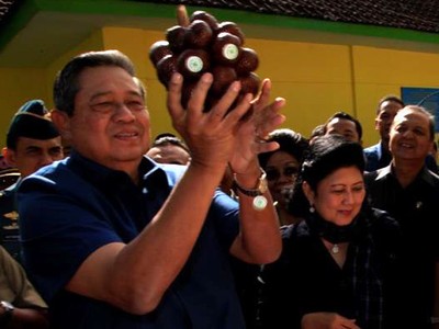 Presiden SBY Borong Salak di Lumajang