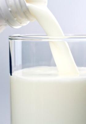 Waspada! Bakteri Ini Senang Bersarang Nyaman dalam Makanan