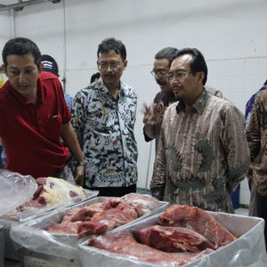 KBRI: Daging Sapi Impor dari Australia Halal