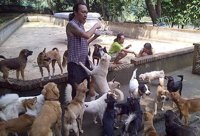Melihat Lebih Dekat Rumah Nyaman Bagi Anjing yang Terbuang
