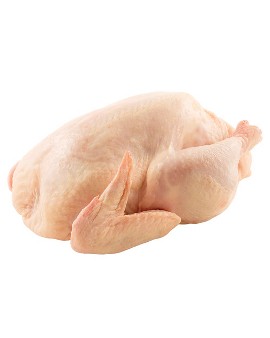 Sebelum Belanja, Kenali Ciri Ayam Kampung, Broiler, dan Jantan