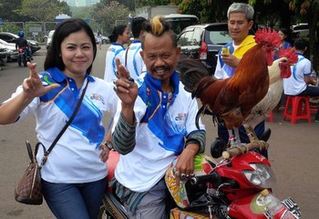 Mudik bersama XL tahun ini mengambil dua rute, yaitu selatan menuju Tasikmalaya, Banjar, Cilacap, Kebumen, Purworejo, Yogya, Solo dan Surabaya. Sedangkan rute utara menuju Cirebon, Tegal, Pemalang, Semarang, Solo dan Surabaya.