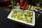 Jelang Lebaran Pedagang Bungkus Ketupat Marak