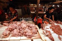 Sejumlah pedagang menjual ayam potong di Pasar Senen, Jakarta Pusat.